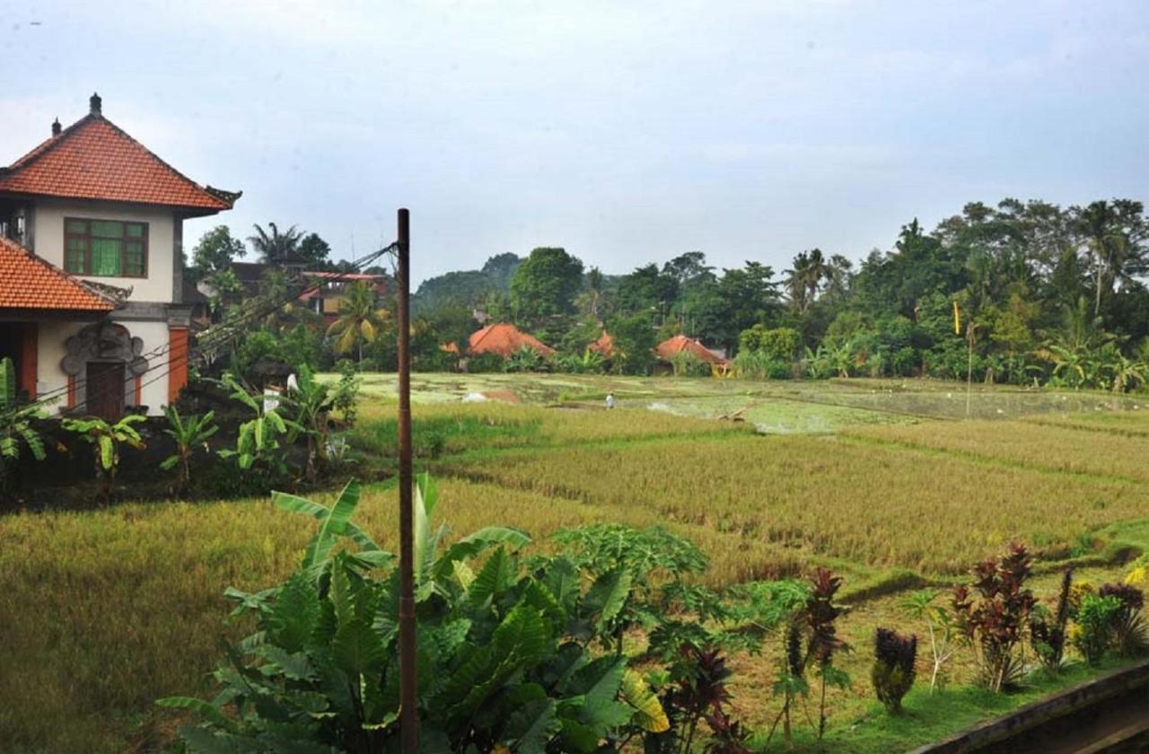 Candra Asri * Ubud (Bali)